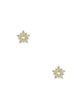 CZ Star Flower Posts