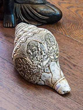 Hand Carved Traditional Tibetan Conch (5 Zambala)