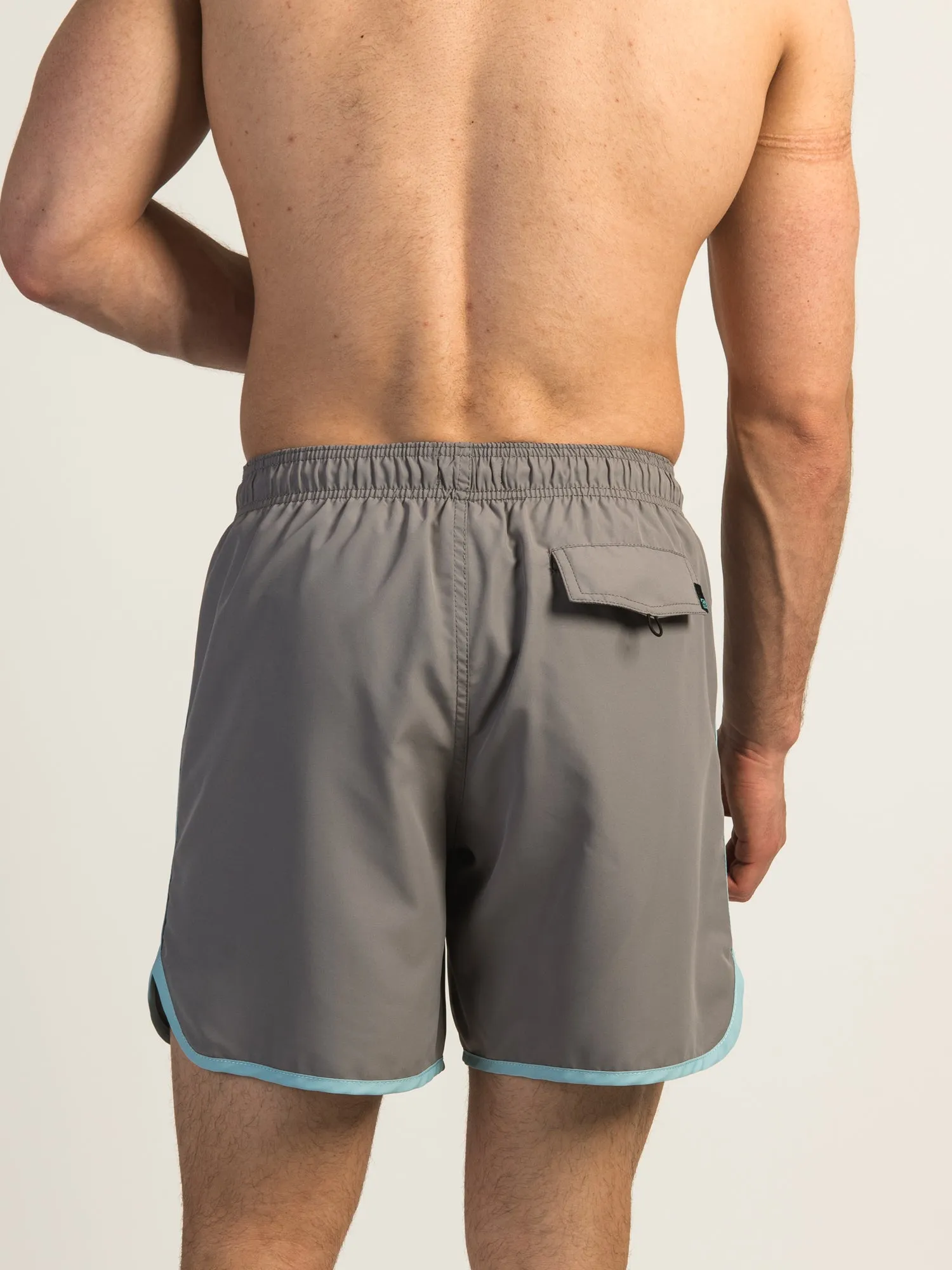 ISLAND HAZE 7 SCALLOP SHORT