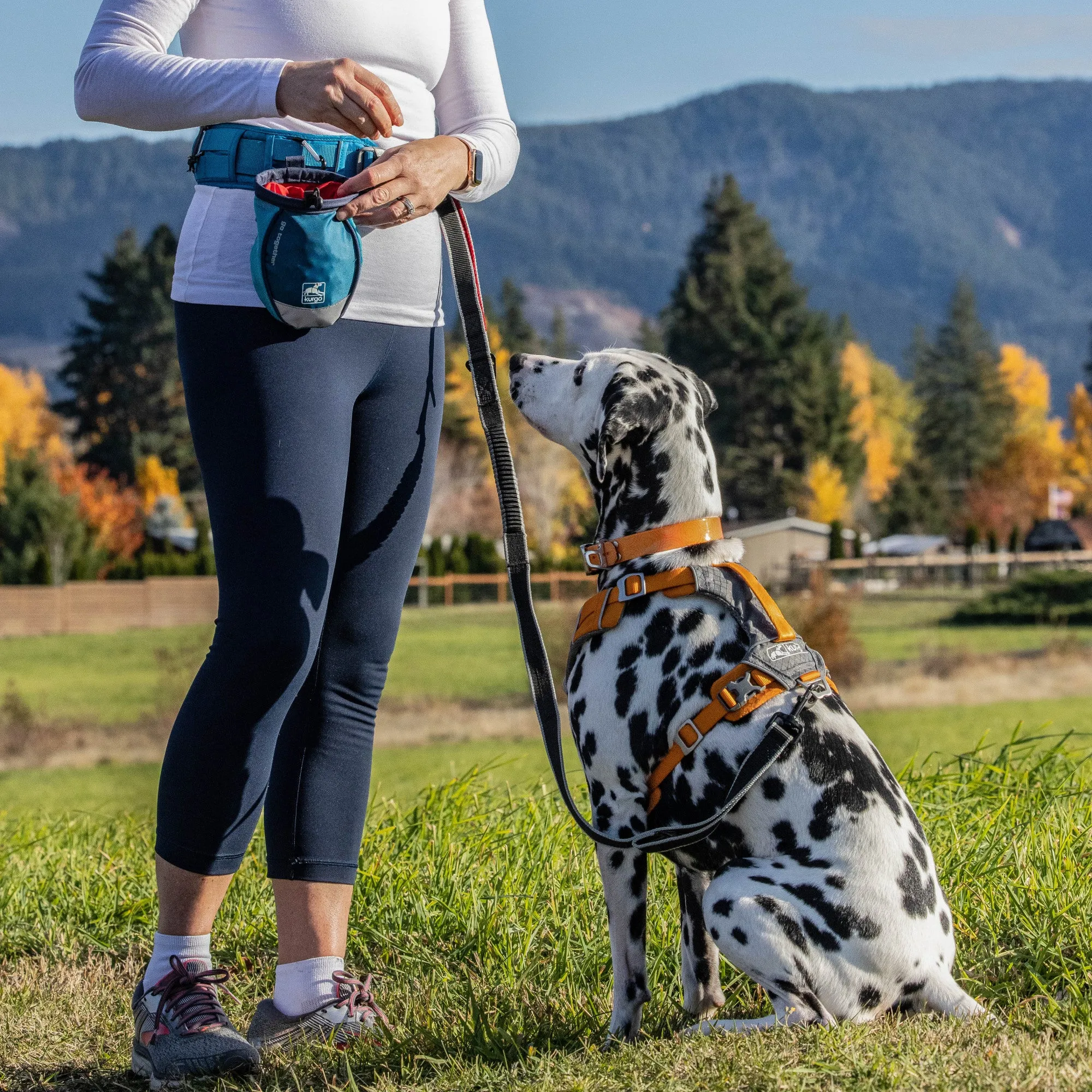 Kurgo Go Stuff It Dog Treat Bag - Blue