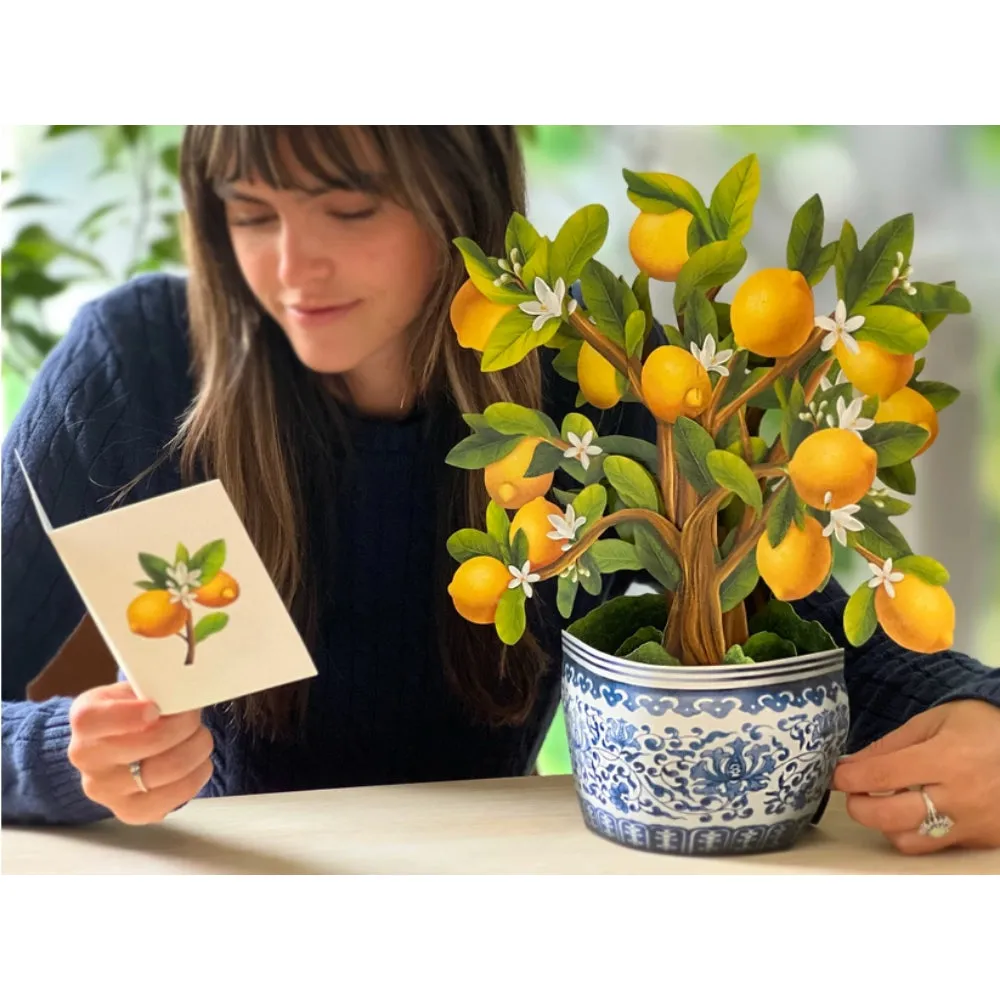 Lemon Blossom Tree Pop-Up Greeting Card