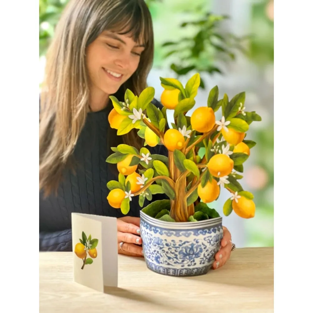 Lemon Blossom Tree Pop-Up Greeting Card